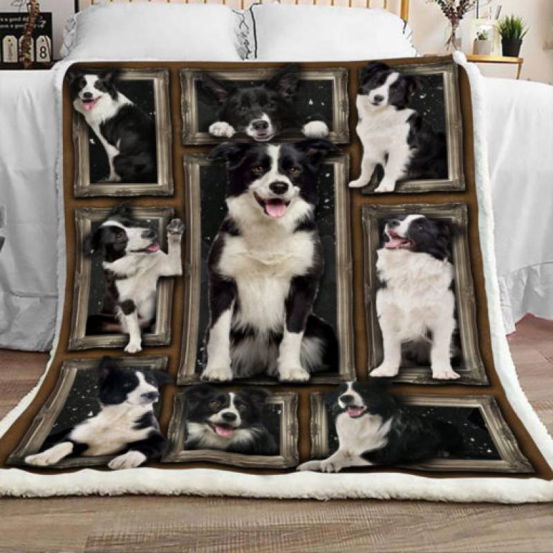 Border Collie Dog Sherpa Blanket DCB3001 81O36