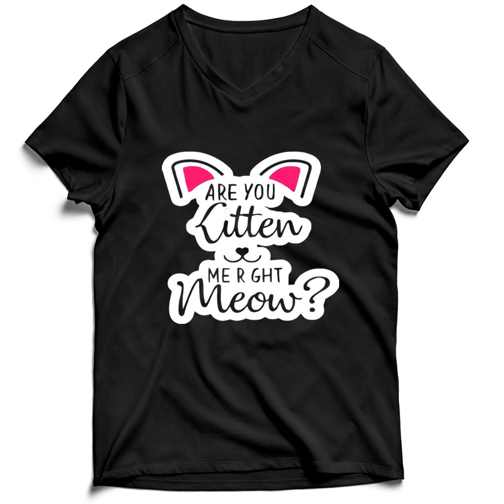 Are You Kitten Me Right Meow Kills Men’s V-Neck Tee T-Shirt