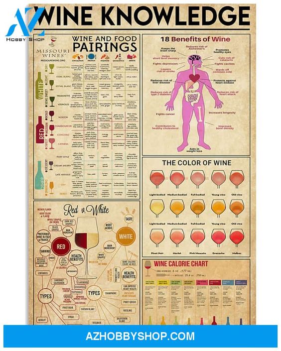 Wine Knowledge Poster