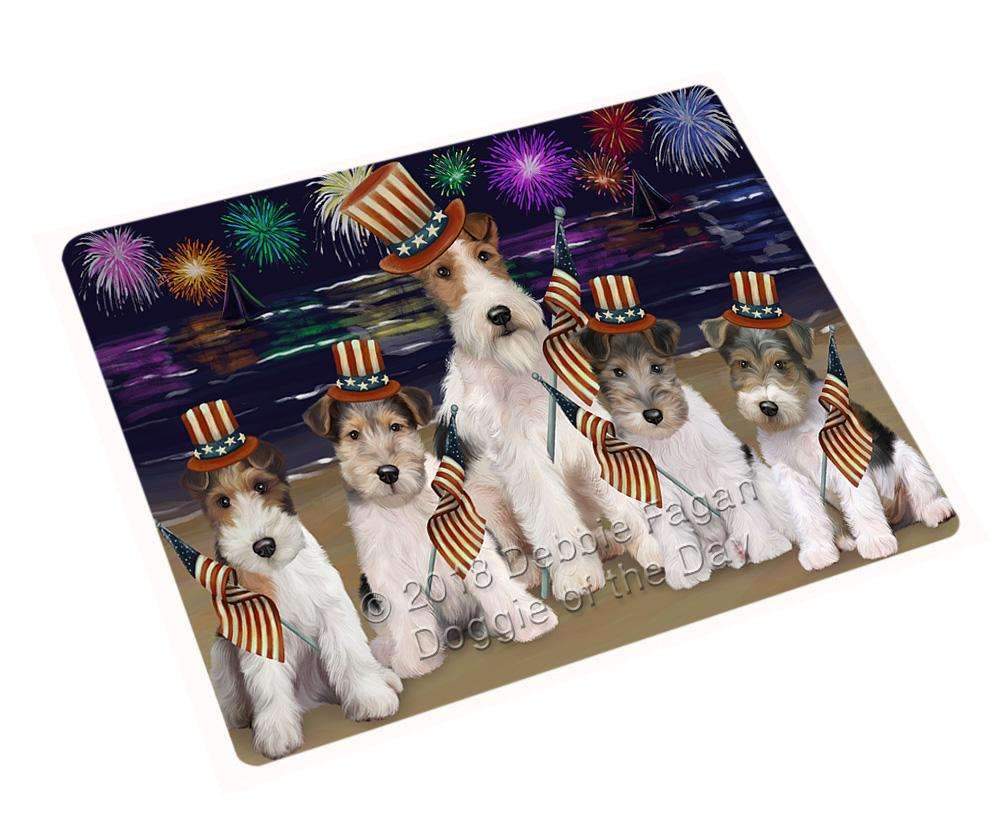 4Th Of July Independence Day Firework Wire Hair Terriers Dog Blanket Blnkt85494