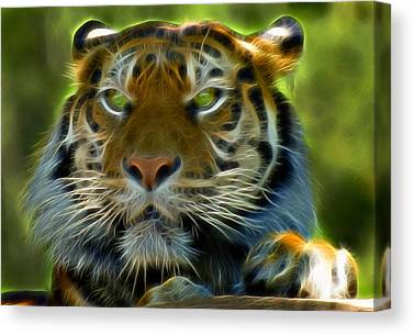 A Tigers Stare Ii Ricky Barnard Canvas Print