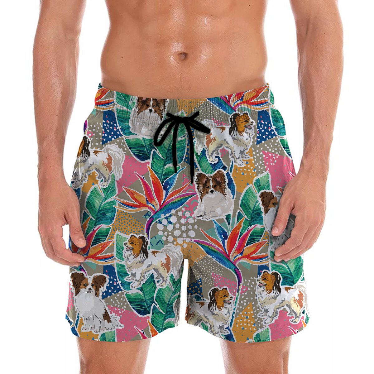 Papillon Hawaii Shorts Ha38479