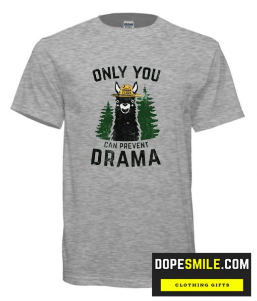 Only You Can Prevent Drama cool T Shirt