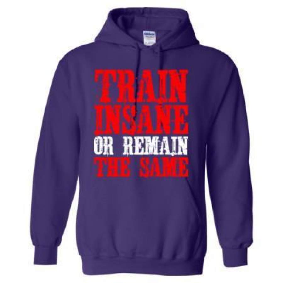 AGR Train Insane Or Remain The Same – Heavy Blend™ Hooded Sweatshirt