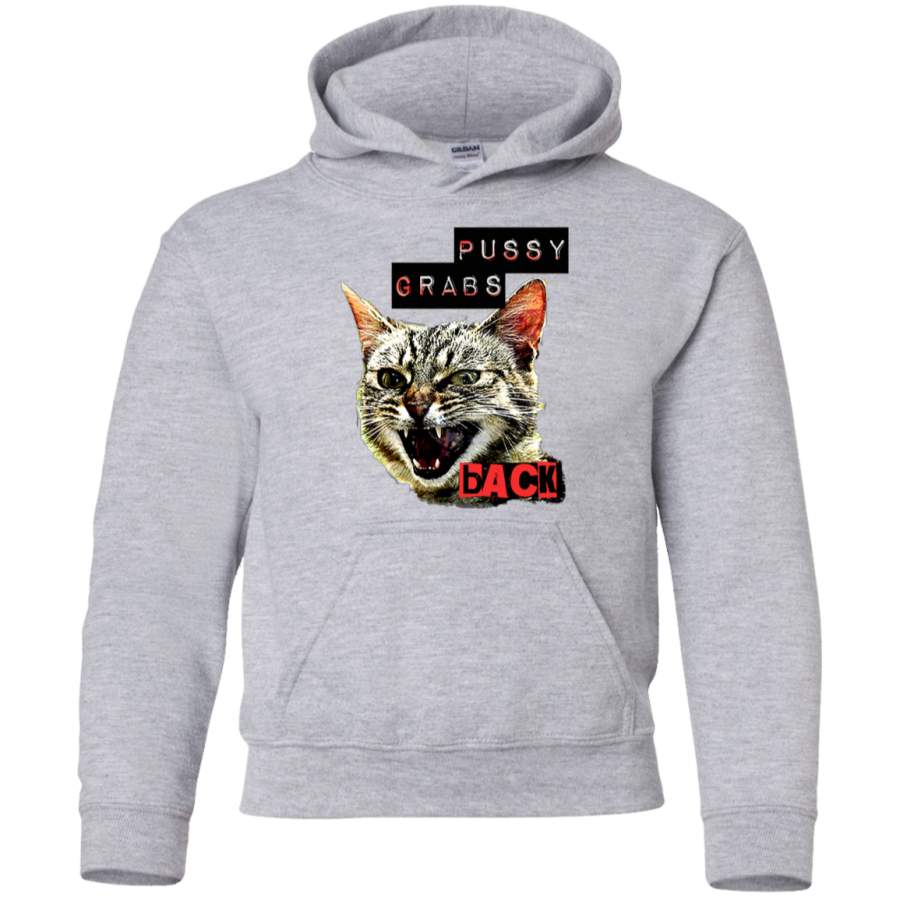 AGR Pussy Grabs Back Youth Pullover Hoodie