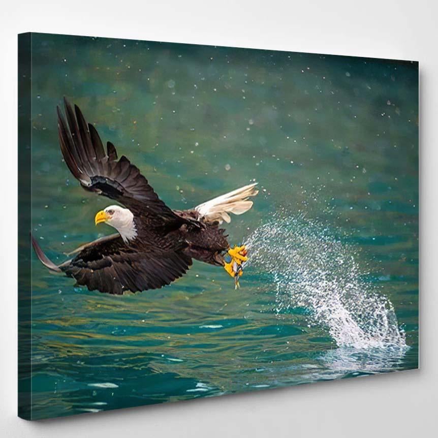 American Bald Eagle Swooping Catch Fish 2 – Eagle Animals Canvas Print