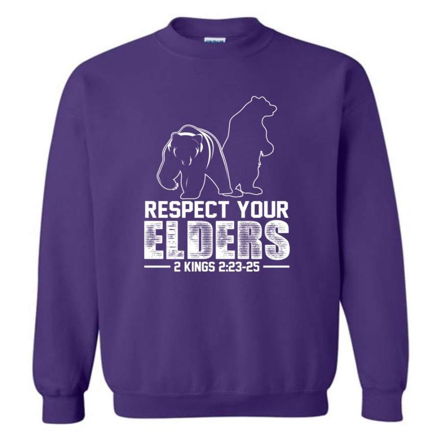 Respect Your Elders T Shirt Cool Big Brother Shirt Gift ...