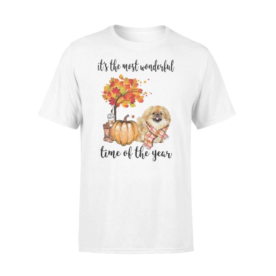 Fall Pumpkin It’s The Most Wonderful Time Of The Year Pekingese T-Shirt