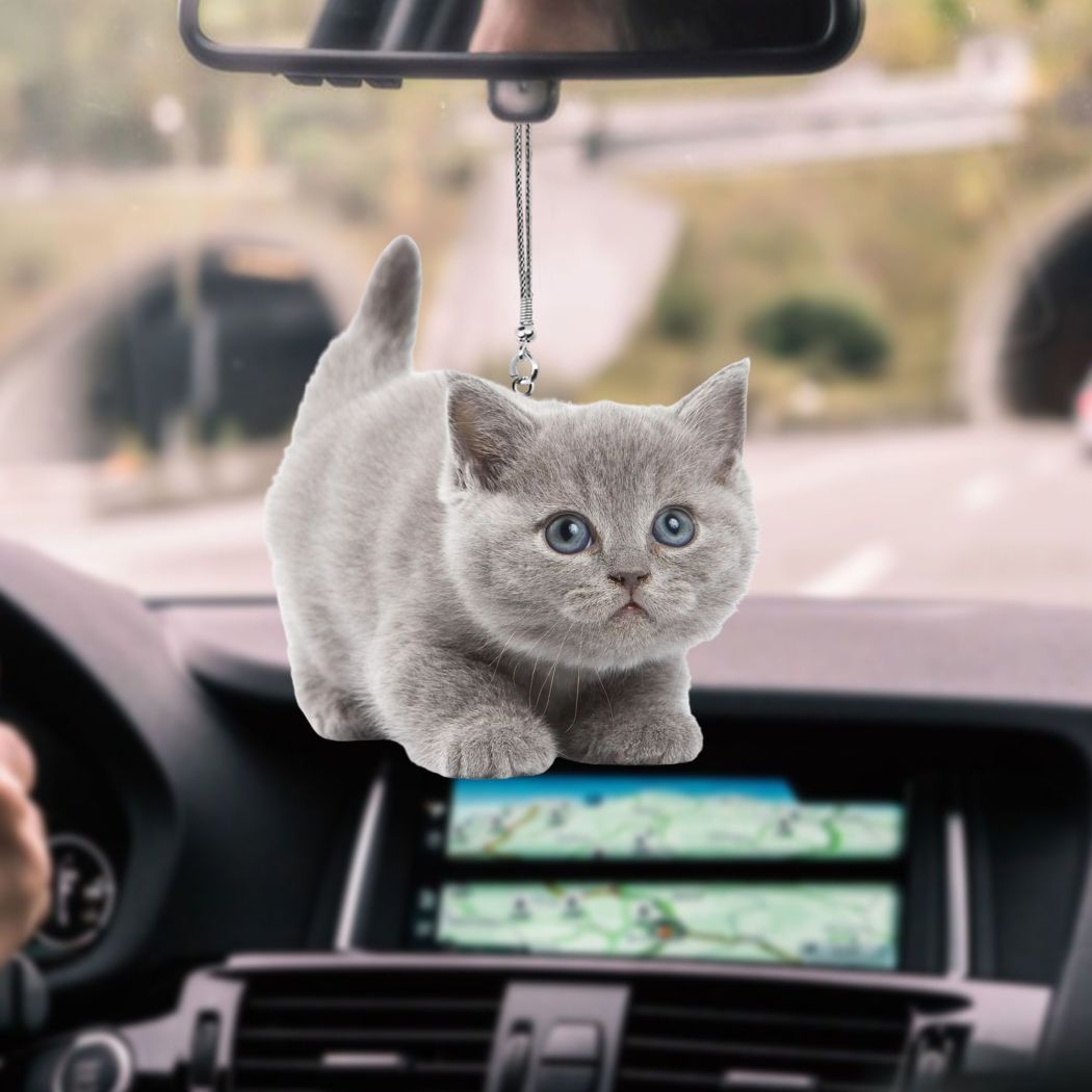 Waybackapparel British Shorthair Cute Kitten Car Hanging Ornament