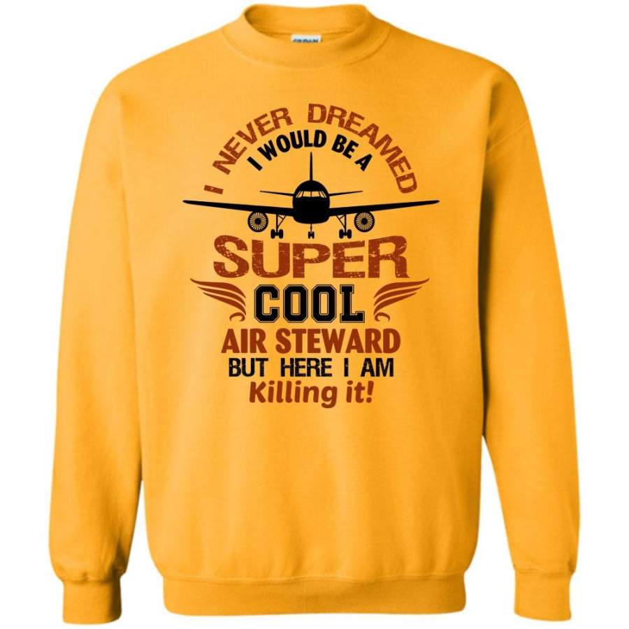 I’m A Coolest Cool Air Steward T Shirt, I Never Dreamed I Would Be A Cool Air Steward Sweatshirt
