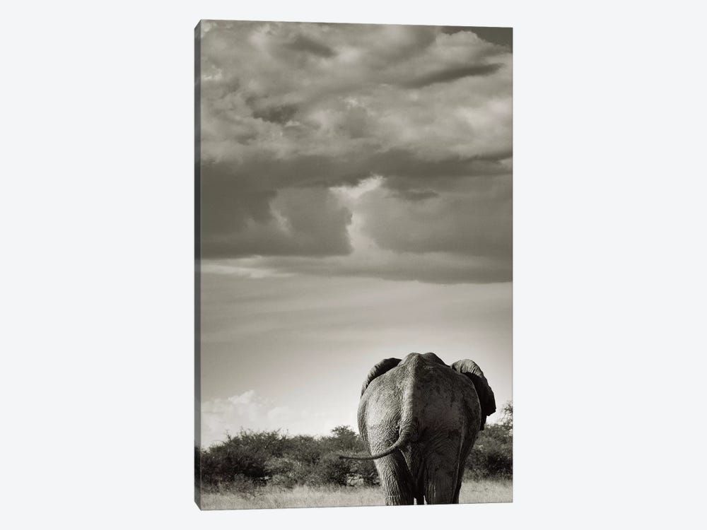 B&W Returning Elephant Canvas Poster 8″x12″ 12×18″ 18″x26″ 24″x36″ 30″x45″