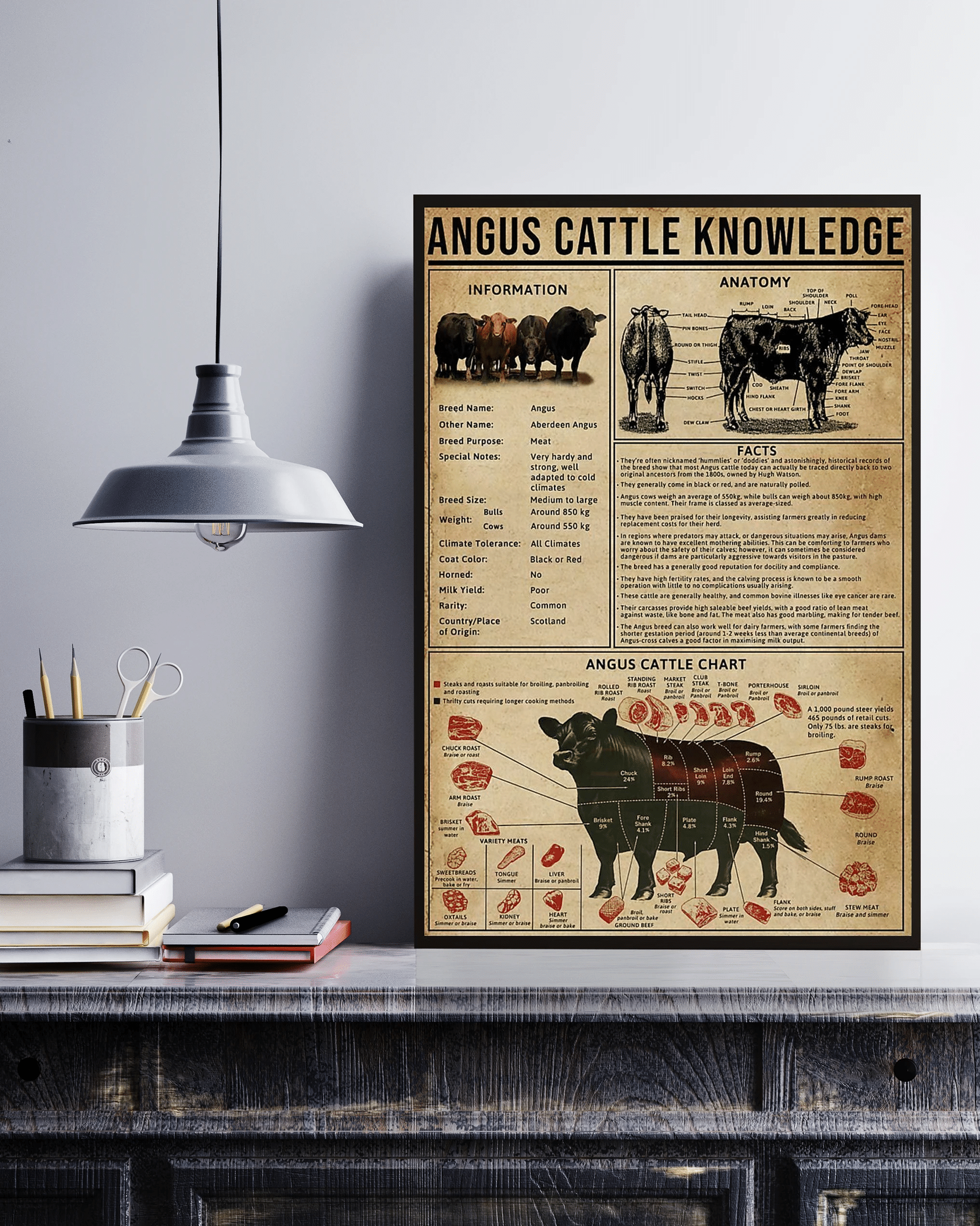 Angus Cattle Knowledge Canvas Poster Wall Art