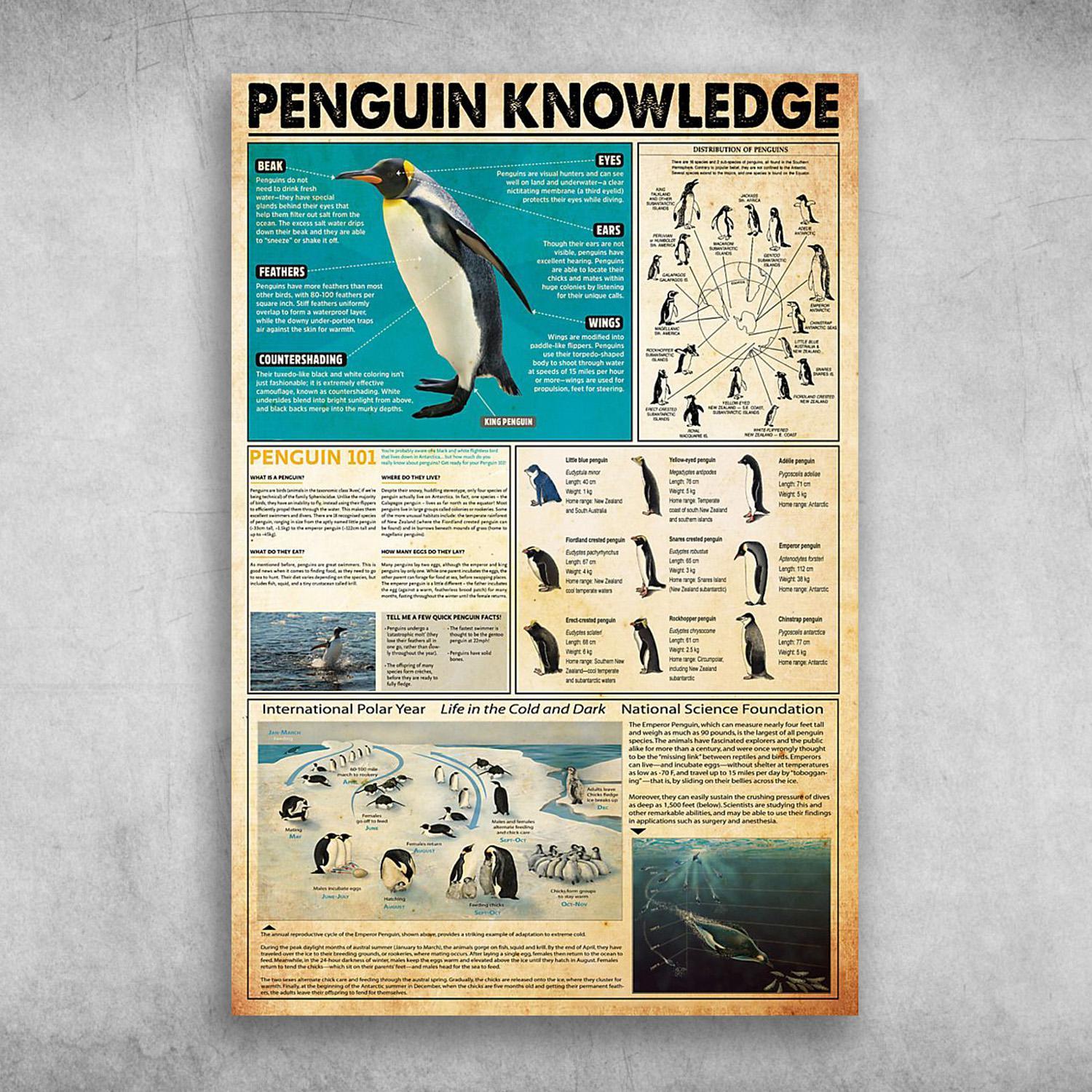 Penguin Knowledge Distribution Of Penguins Life In The Cold And Dark Poster Print Wall Art Canvas Wall Decor