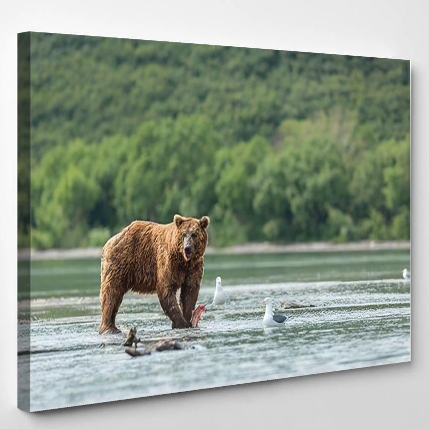 Wild Kamchatkan Brown Bear Eating Salmon – Bear Animals Canvas Print