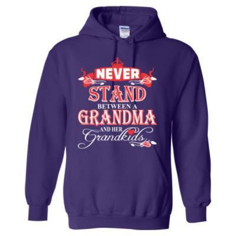 AGR Never Stand Between A Grandma And Her Grandkids – Heavy Blend™ Hooded Sweatshirt