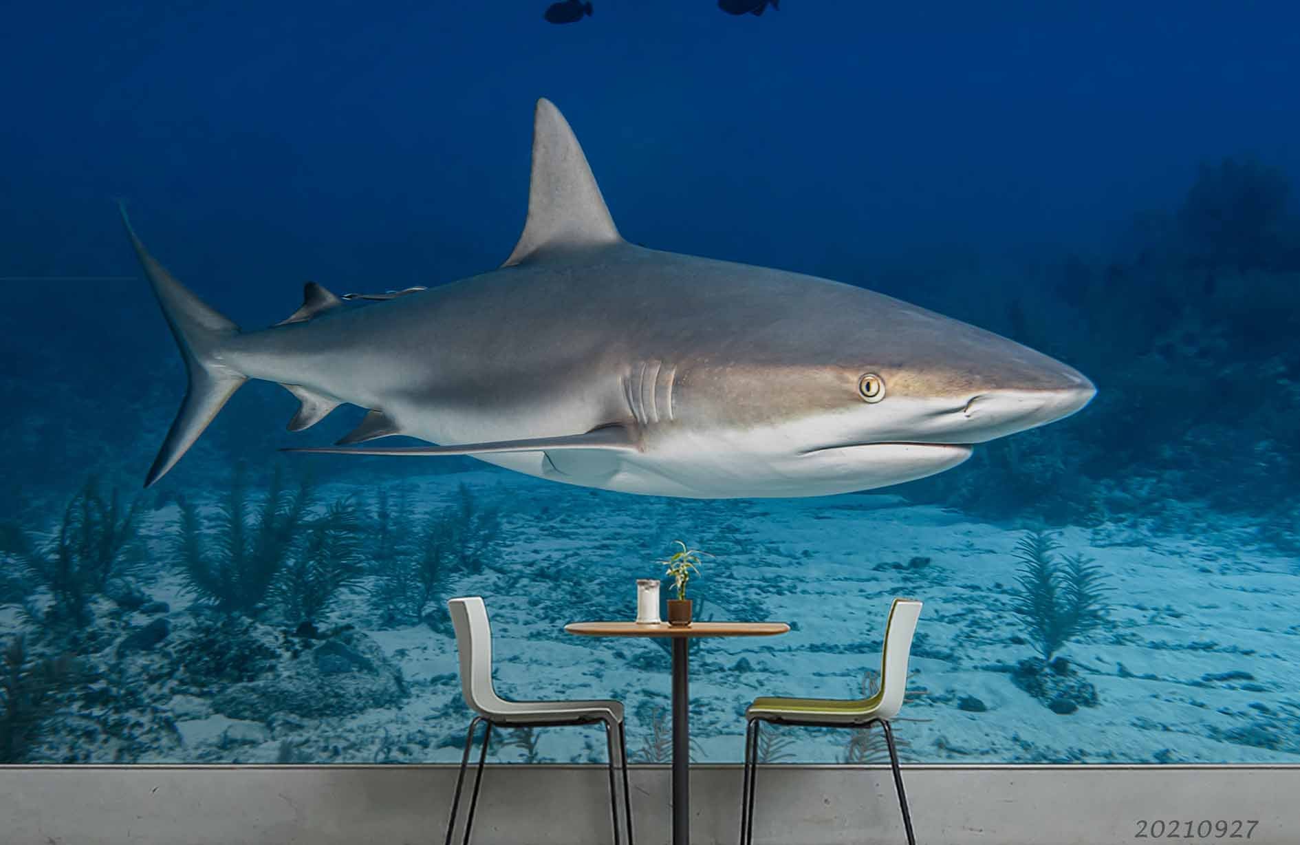 3D Blue Sea Animal Shark Wall Mural Wallpaper Lqh 249