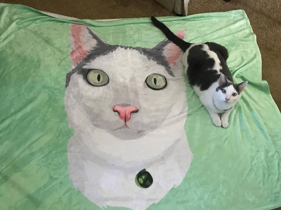 Custom Cat Blankets Personalized Pet Photo Blankets Painted Art