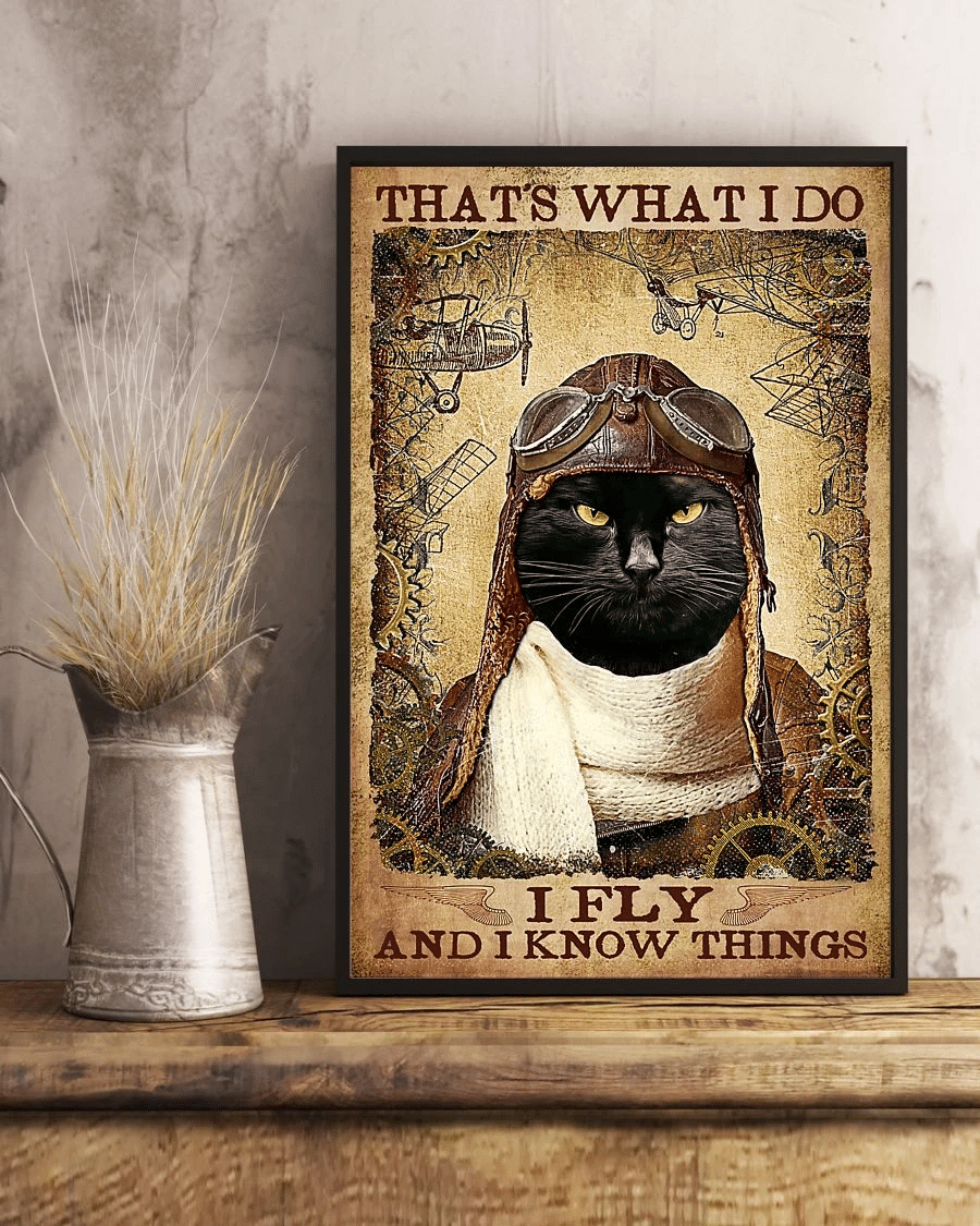 Black Cat Pilot Aircraft Loves Poster Canvas – Thats What I Do Vintage Home Decor Wall Art Evg80479