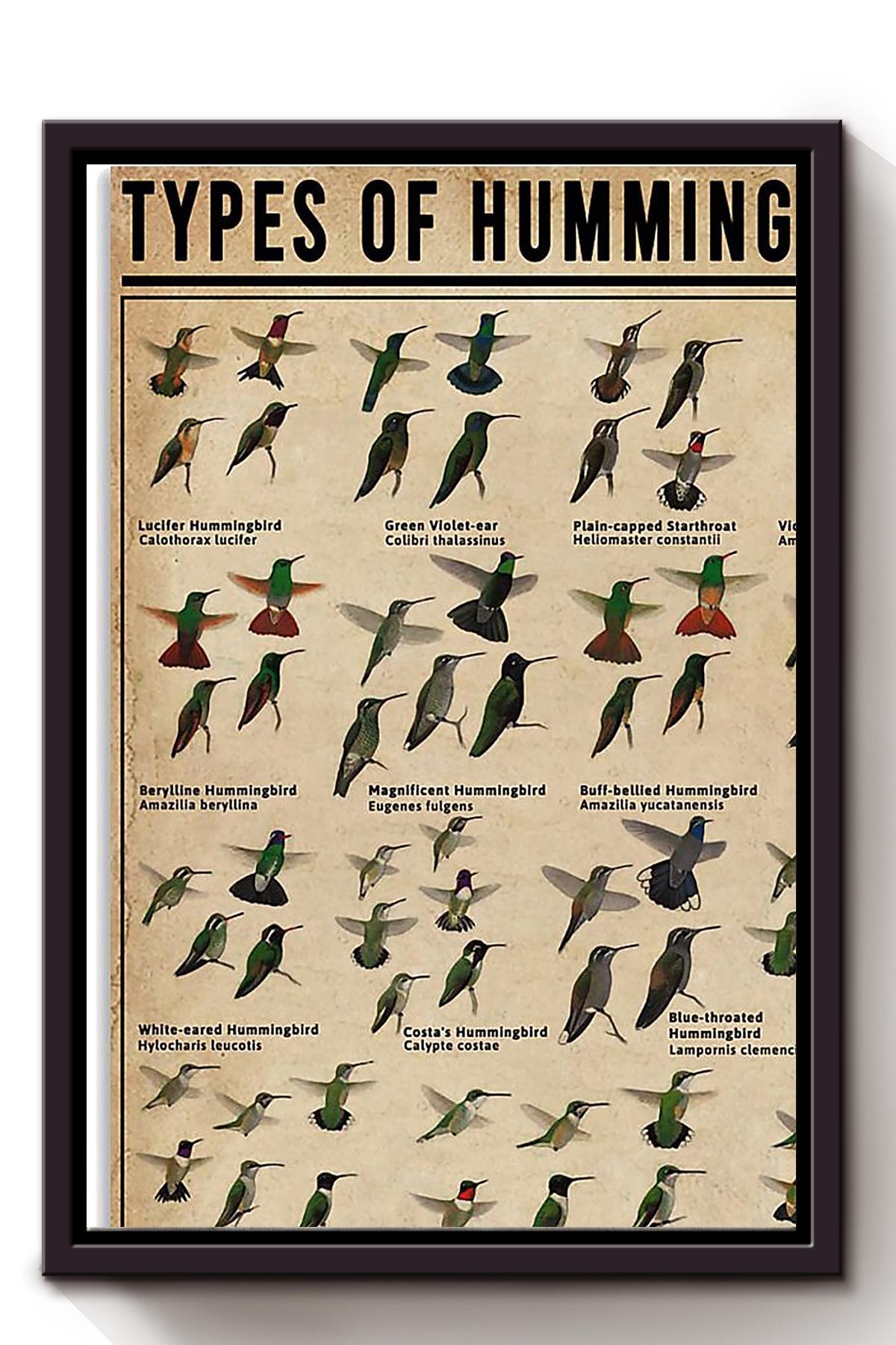 Types Of Hummingbirds Animal Knowledge Wall Art For Homeschool Nusery Kids Bedroom Decor Framed Canvas