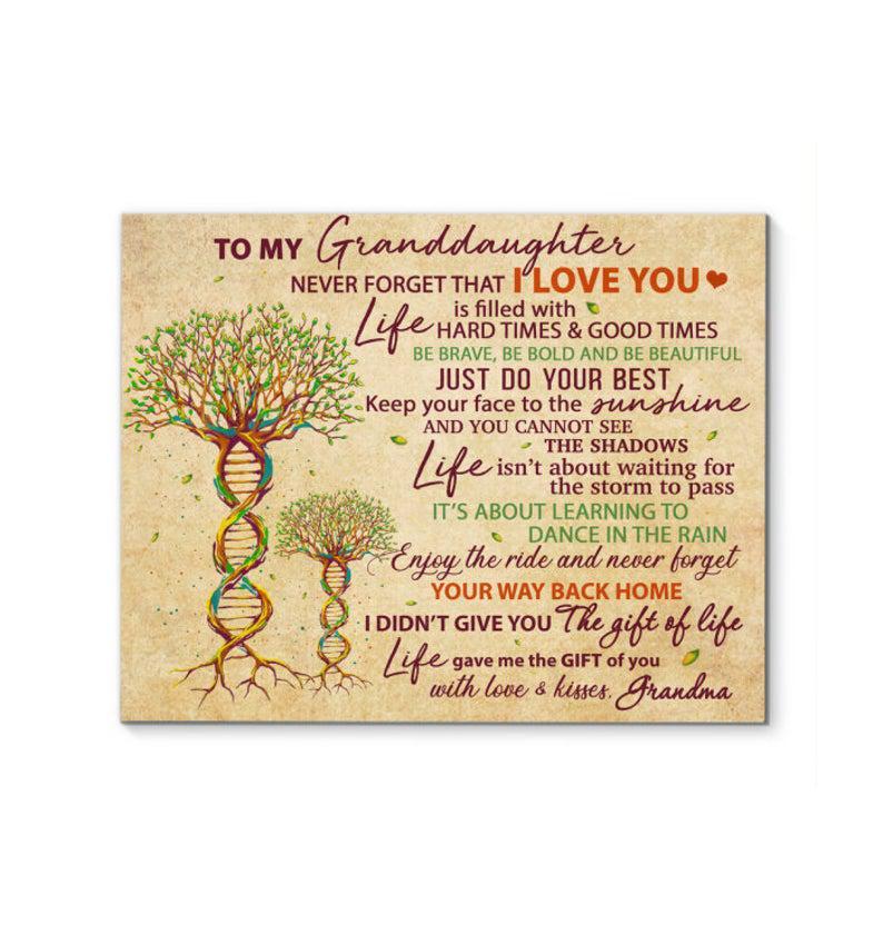 To My Granddaughter Never Forget That I Love You Canvas Poster