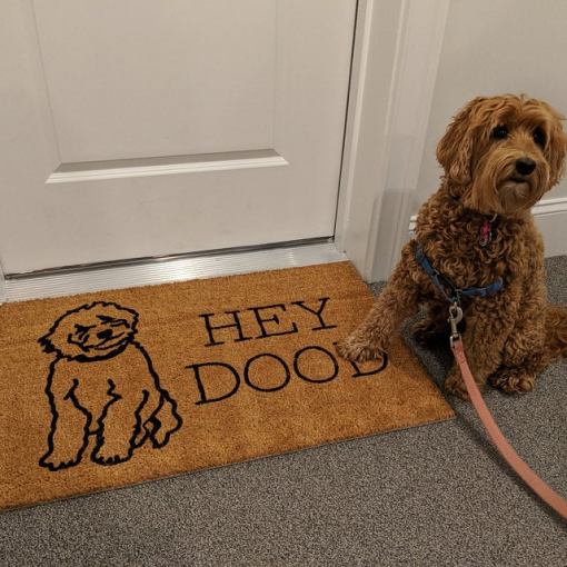 Hey Dood Funny Dog Doormat | Golden Doodle Welcome Mat | Gift For Dog Lover | Birthday Gift | Housewarming Gift | Goldendoodle Gift Doormat All Over Printed(6228)