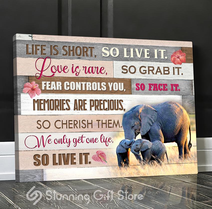 Stunning Gift Elephant Canvases Wall Art Pink Version – Life Is Short So Live It