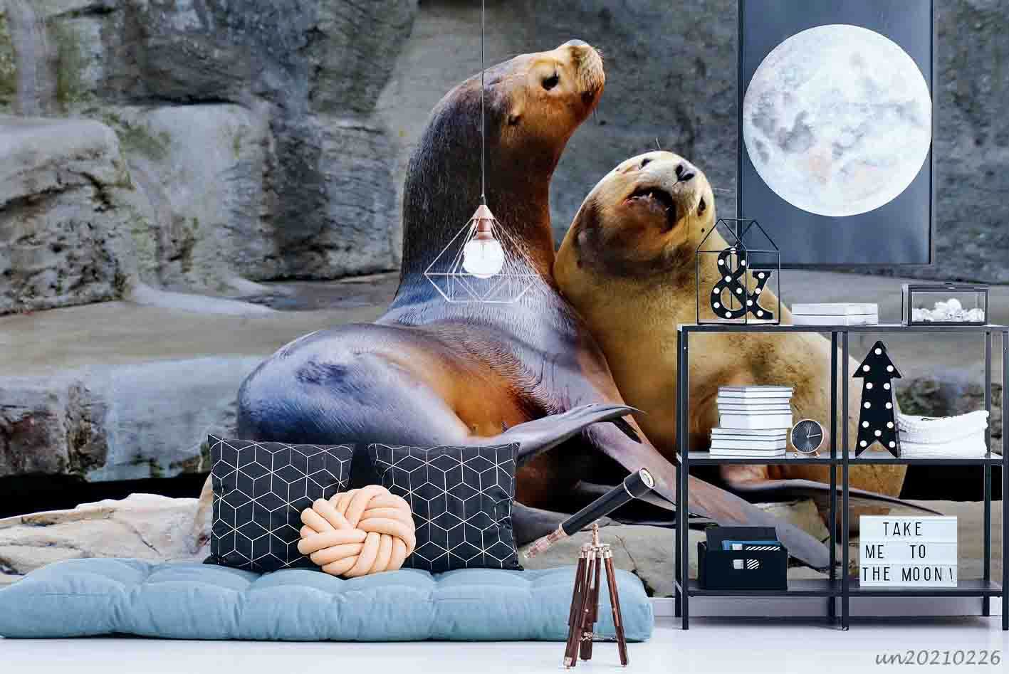 3D Animal Seal Wall Mural Wallpaper Lqh 30