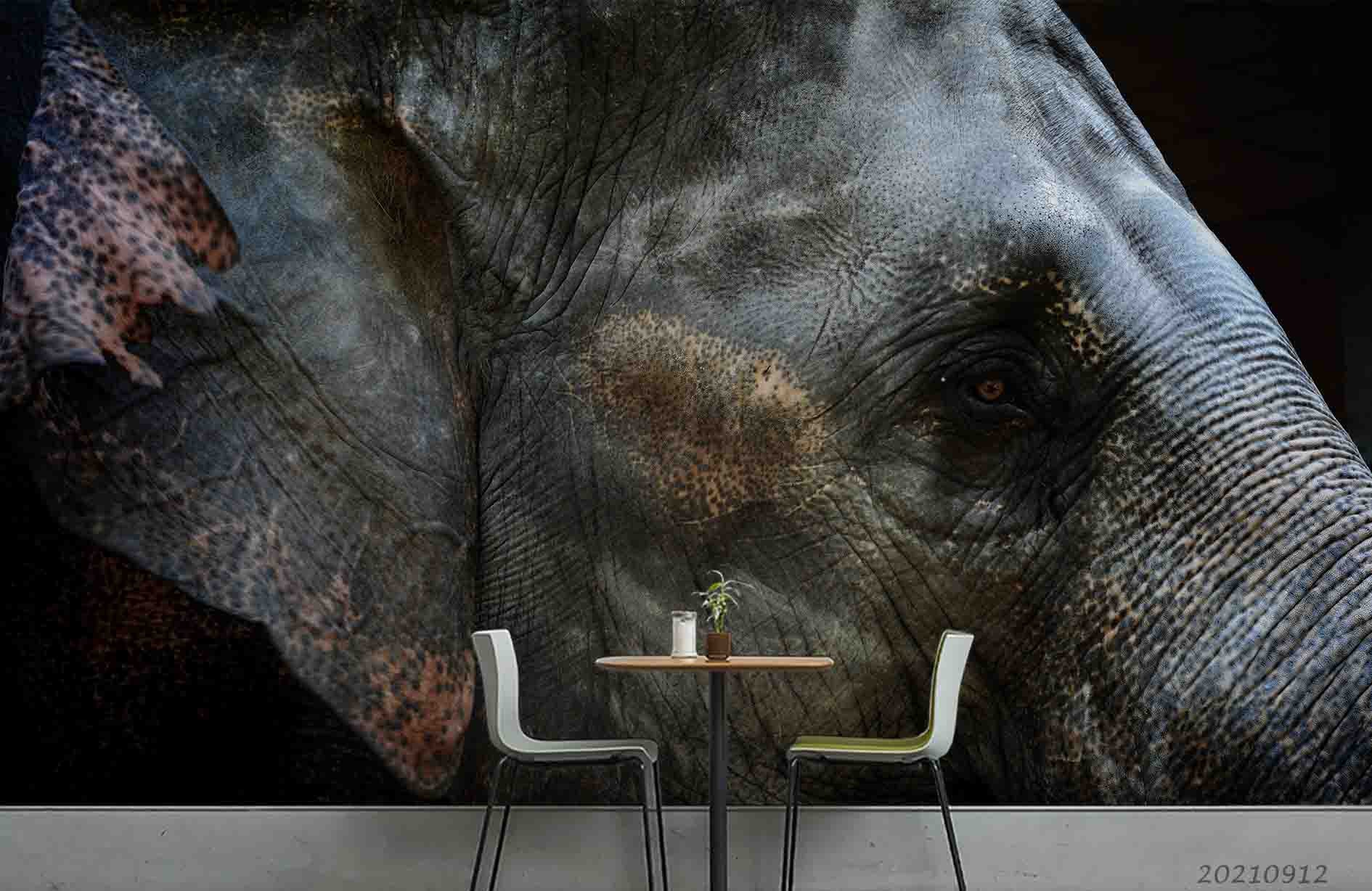 3D Animal Elephant Close-Up Wall Mural Wallpaper Lqh 370