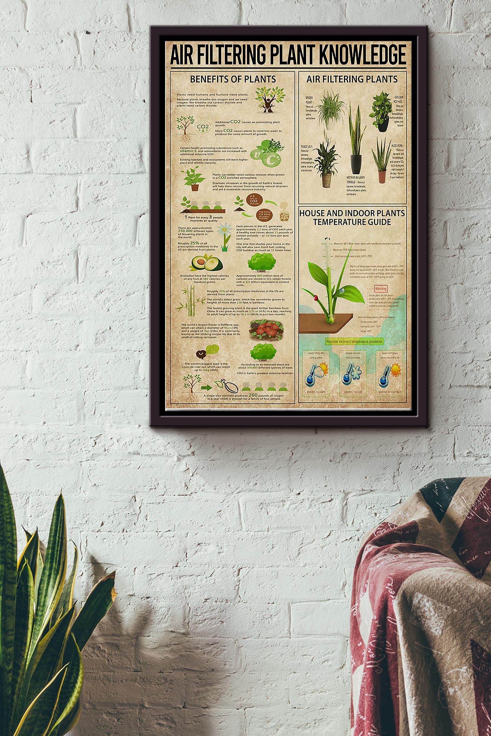 Air Filtering Plant Knowledge Things You Need To Know About Air Filtering Plant Gardening Poster Poster