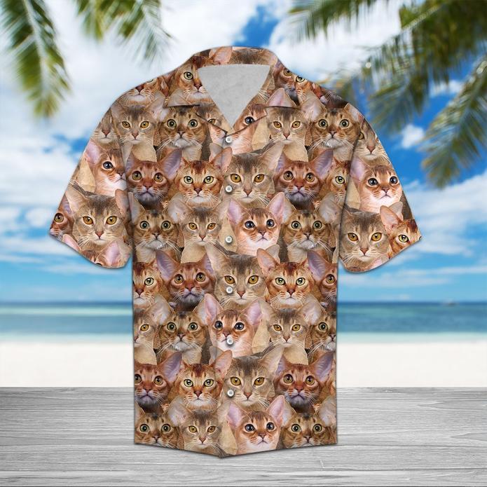 Abyssinian Awesome Hawaii Shirt For Men Women Ha91864