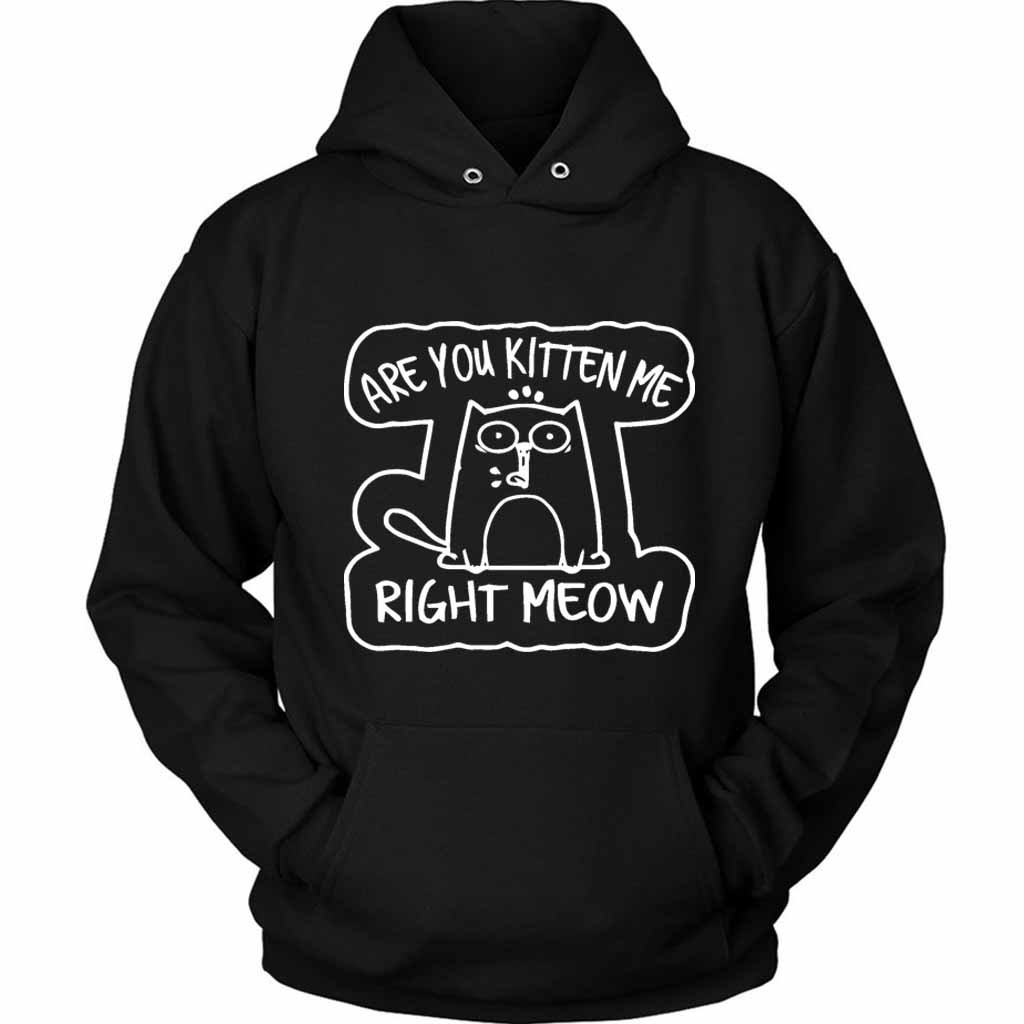 Are You Kitten Me Right Meow Vintage Range Unisex Hoodie