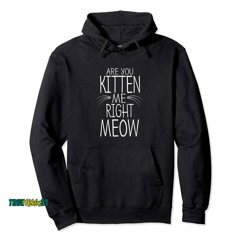 Are You Kitten Me Right Meow Funny Cat Joke Hoodie