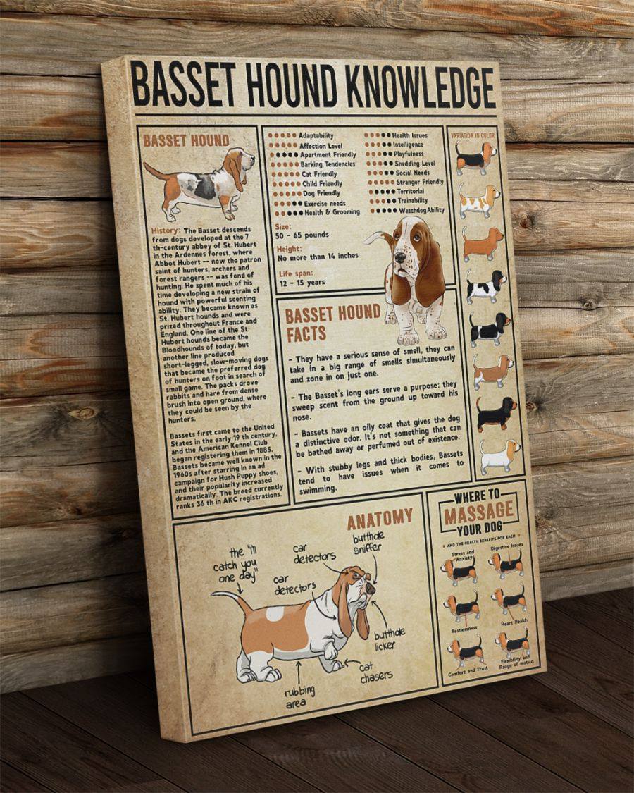 Basset Hound Knowledge, Birthday, Christmas,Family,To My Friend, To My Son, To My Father, To My Mother, To My Wife, To My Husband Personalized Canvas, Poster Custom Design Wall Art