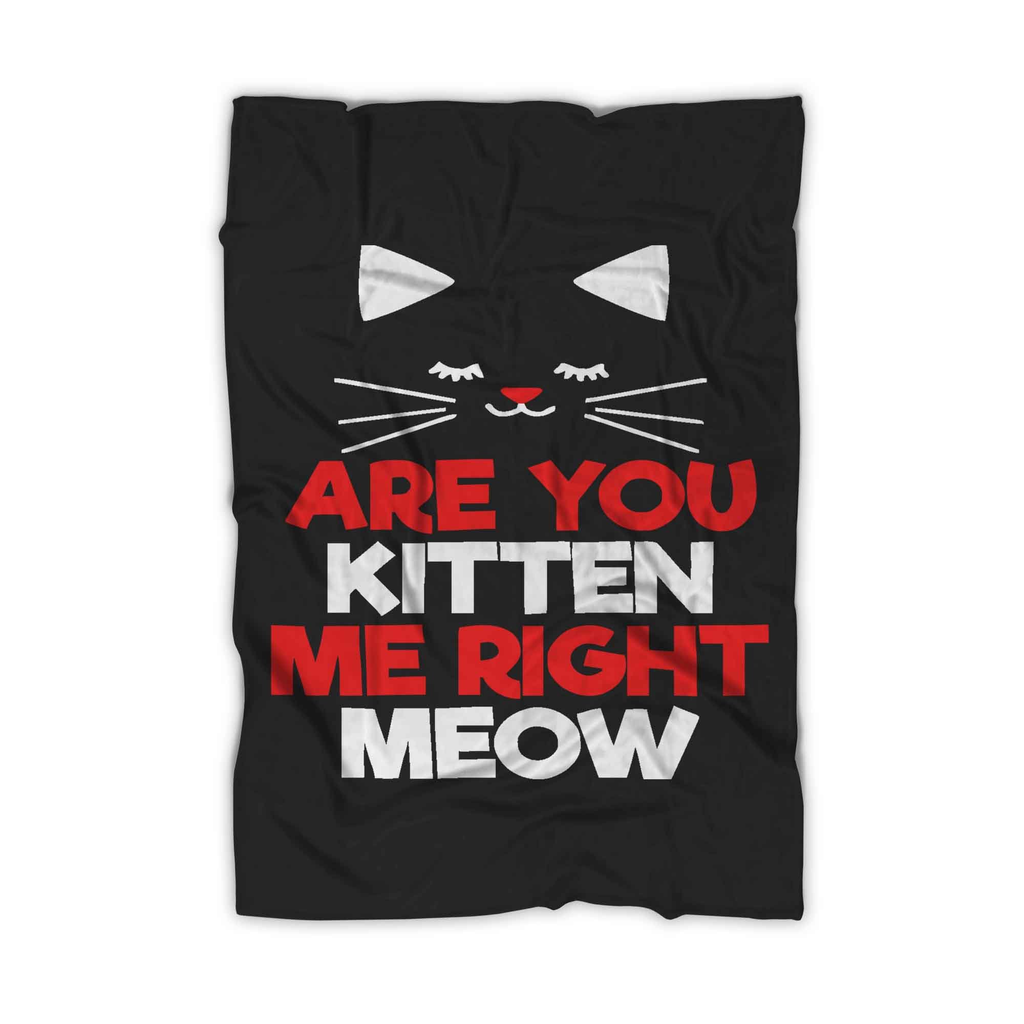 Are You Kitten Me Right Meow Lovers Blanket