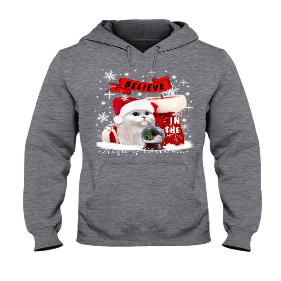 Cat On Christmas Day- Believe Hoodie