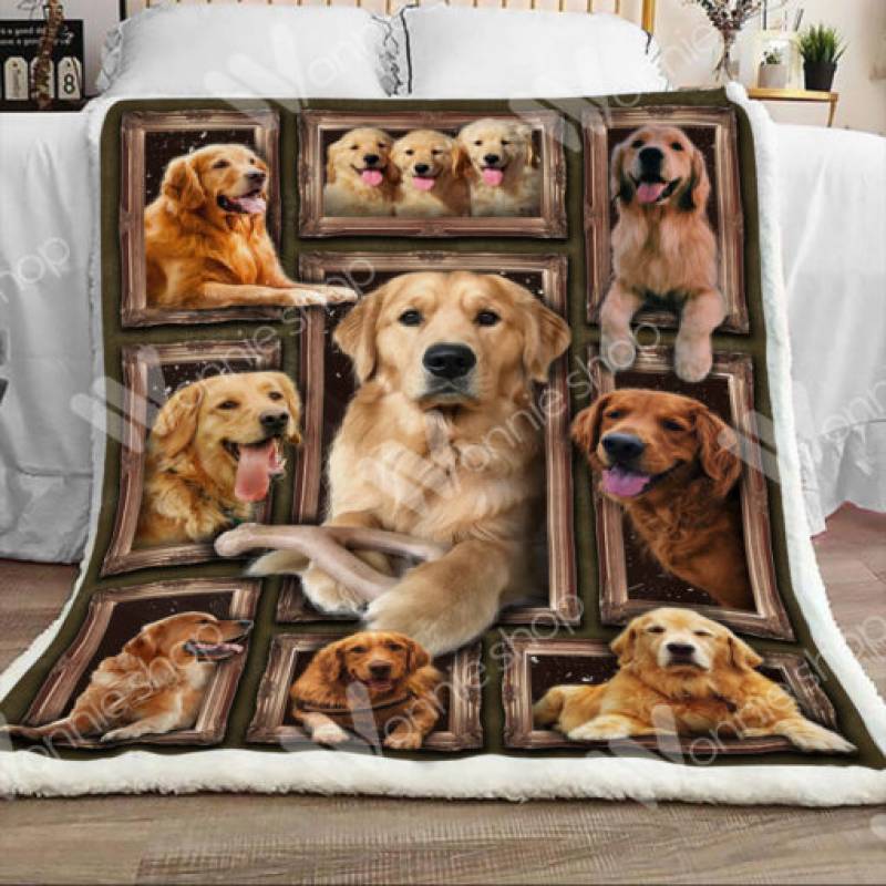 Golden Retriever Dog Sherpa Blanket DCB0202 81O60