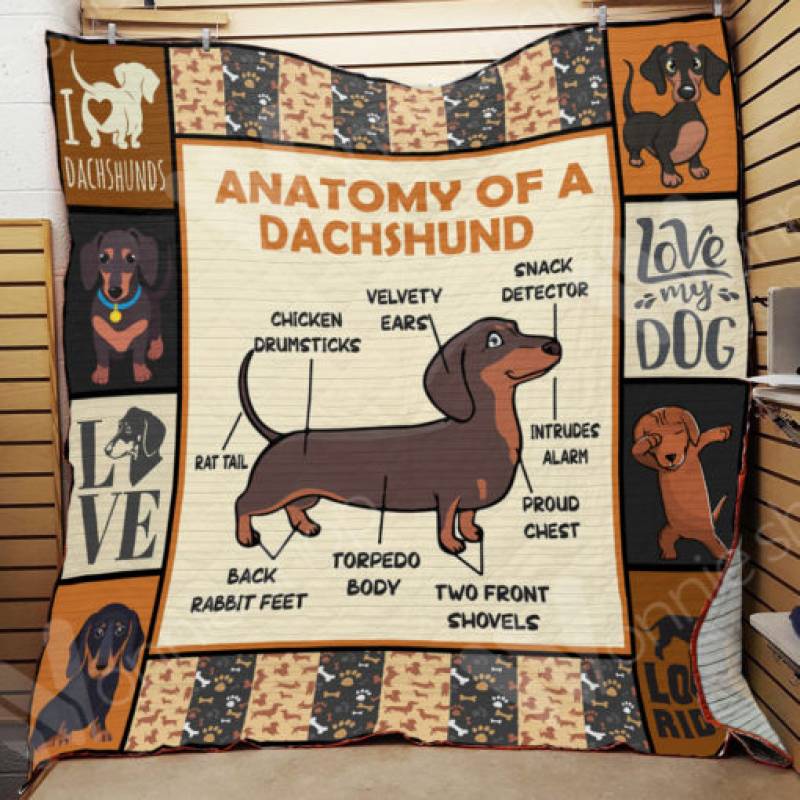 Dachshund Dog Blanket DCB1702 79O43