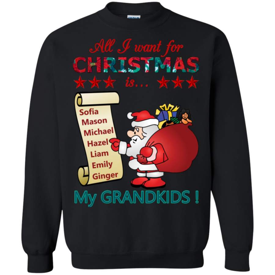 Christmas Wish Personalized T-shirts Hoodie Sweatshirts