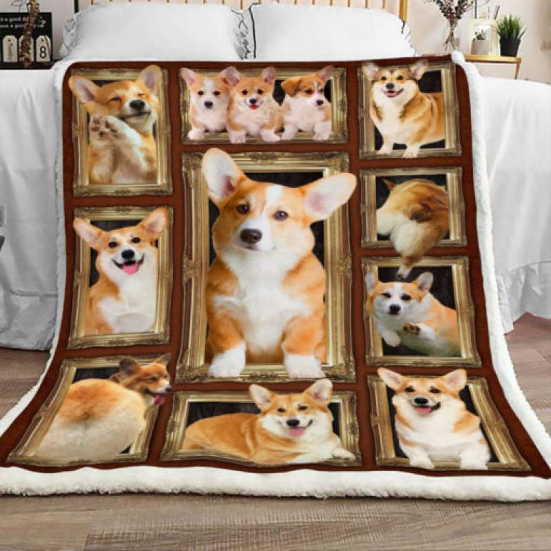 Corgi Dog Sherpa Blanket JR2002 68O50