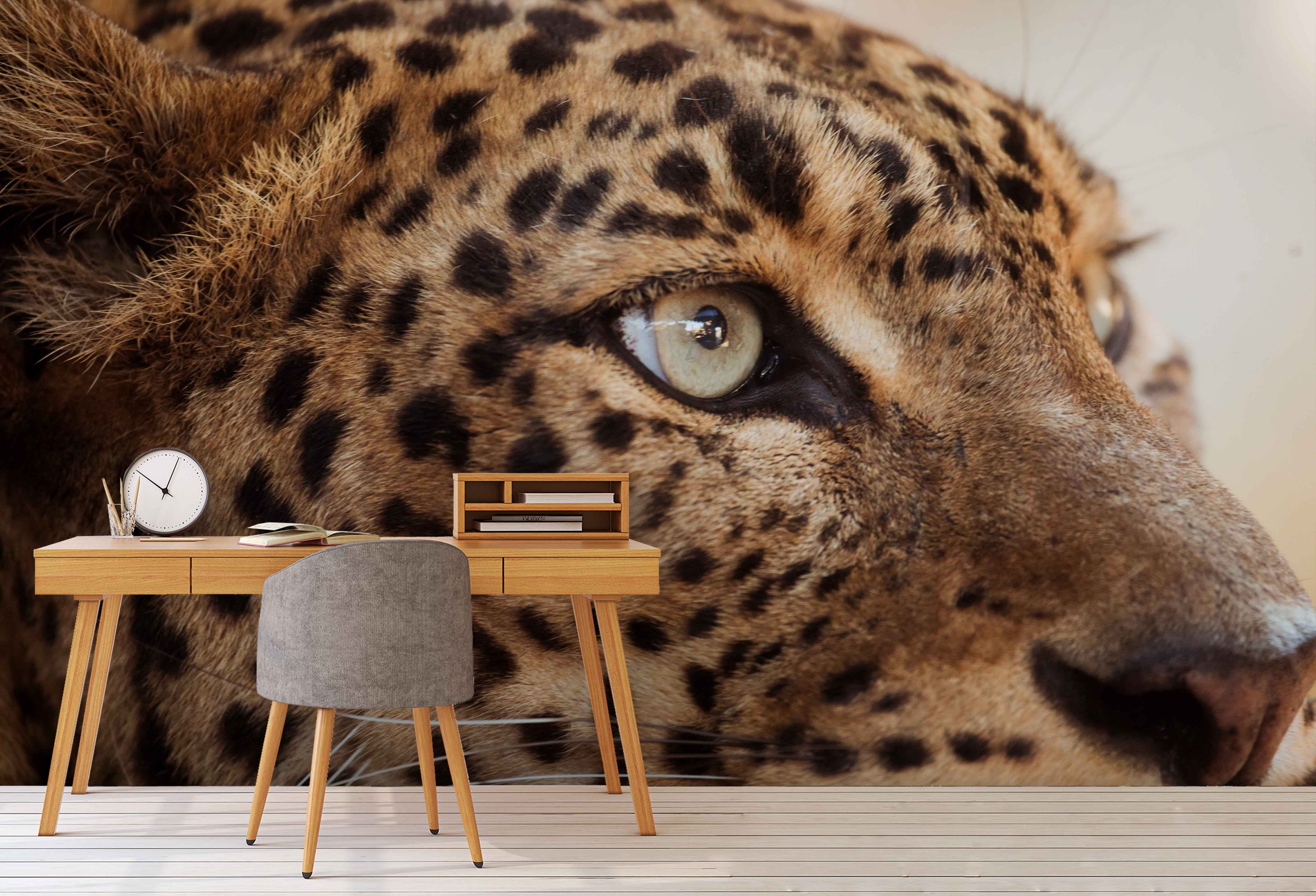 3D Photo Leopard Wall Mural Wallpaper A061 Lqh