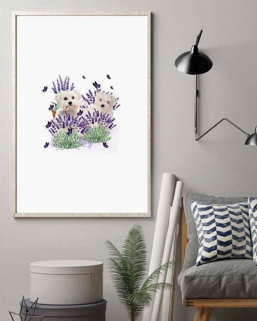 Maltese with lavender flower poster
