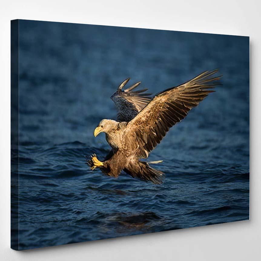 White Tailed Eagle Flight Diving Water – Eagle Animals Canvas Print