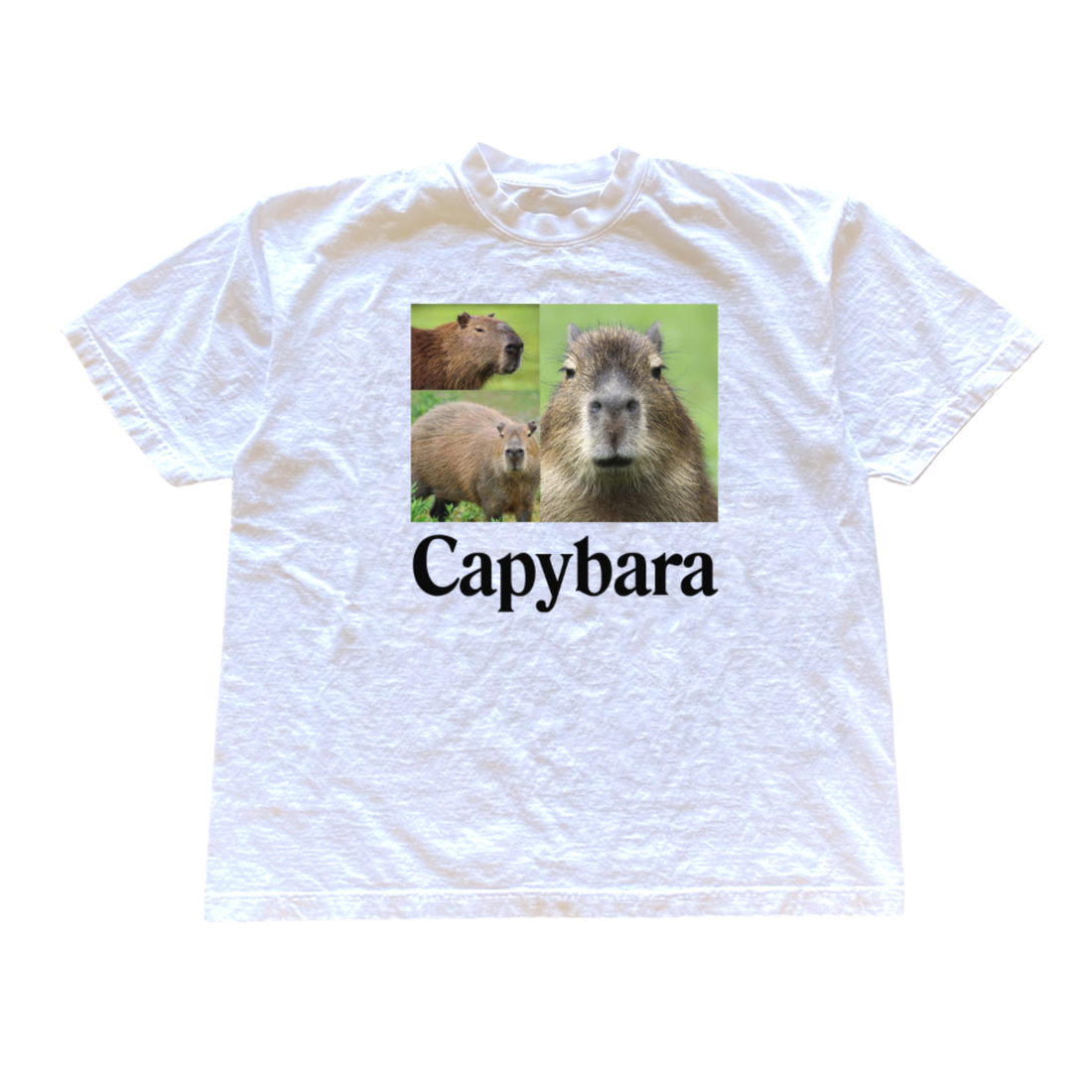 Capybara Tee