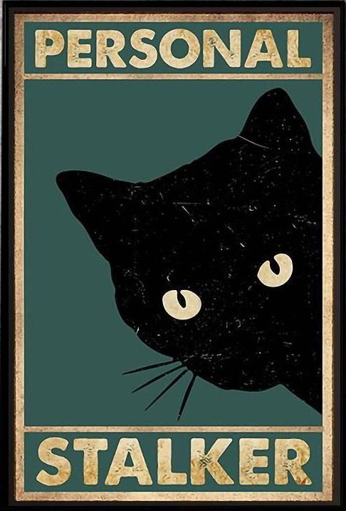 Cat Posters