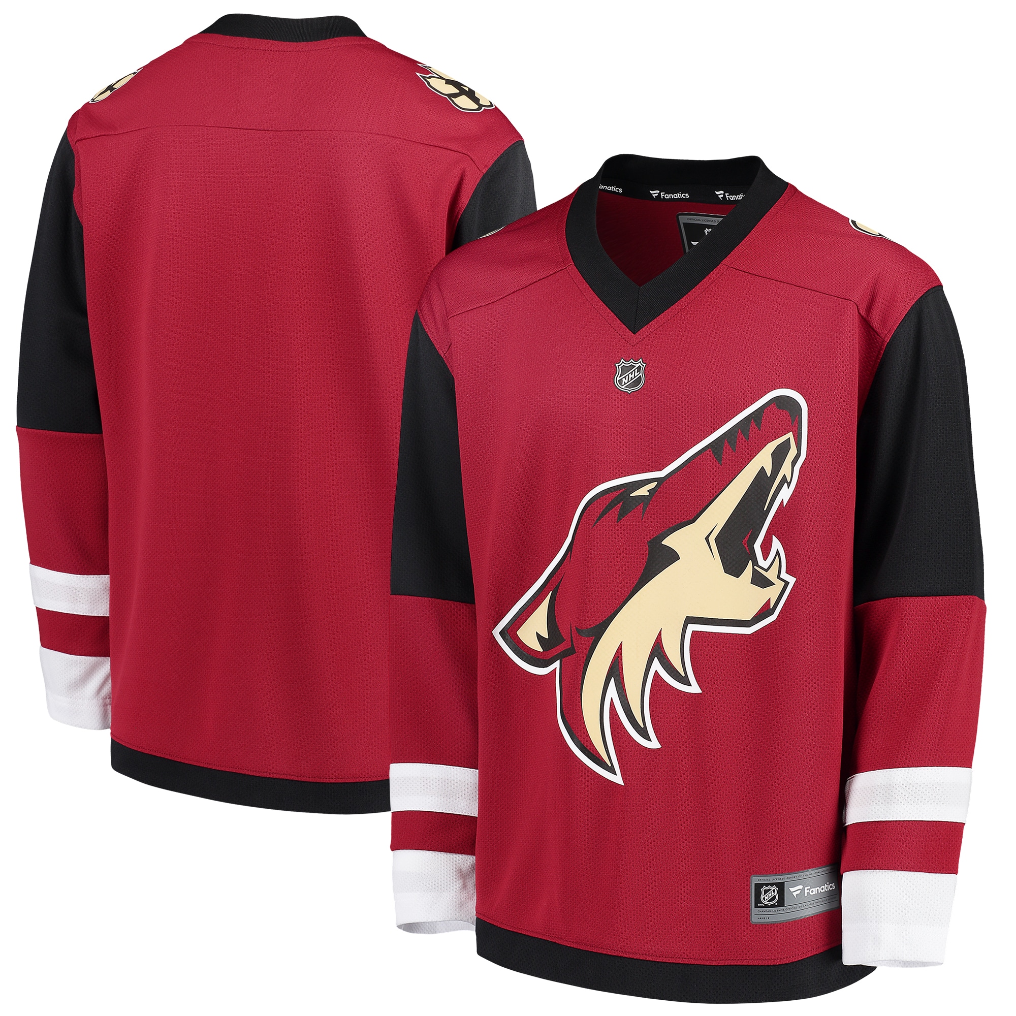 Youth Arizona Coyotes Red Home Blank Jersey