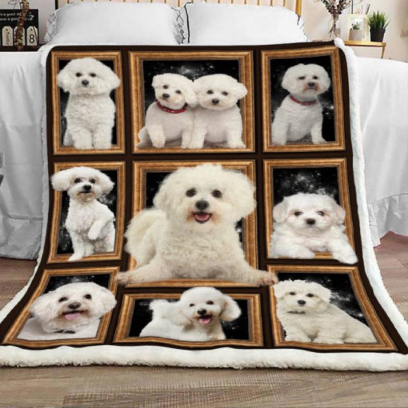 Bichon Frise Dog Sherpa Blanket JR0903 77O42