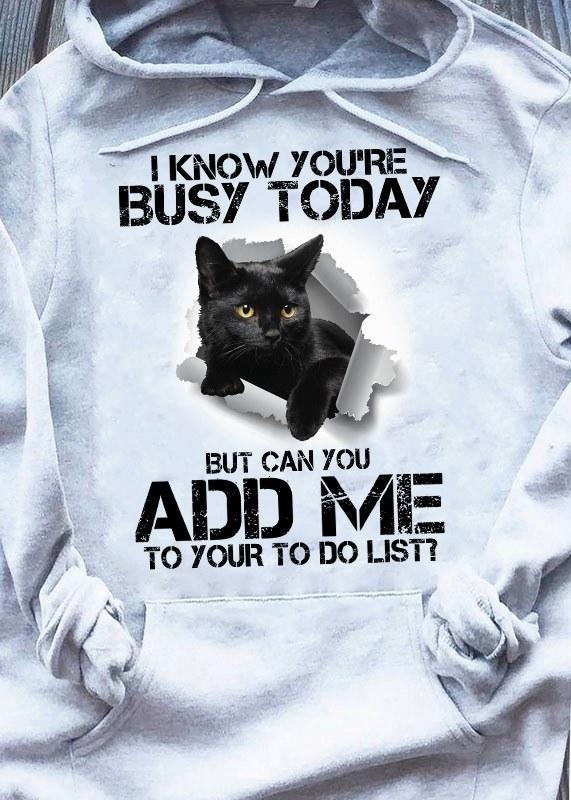 I Know You Are Busy Today But Can You Add Me To Your To Do List Black Cat Lovers Gift Standard Hoodie