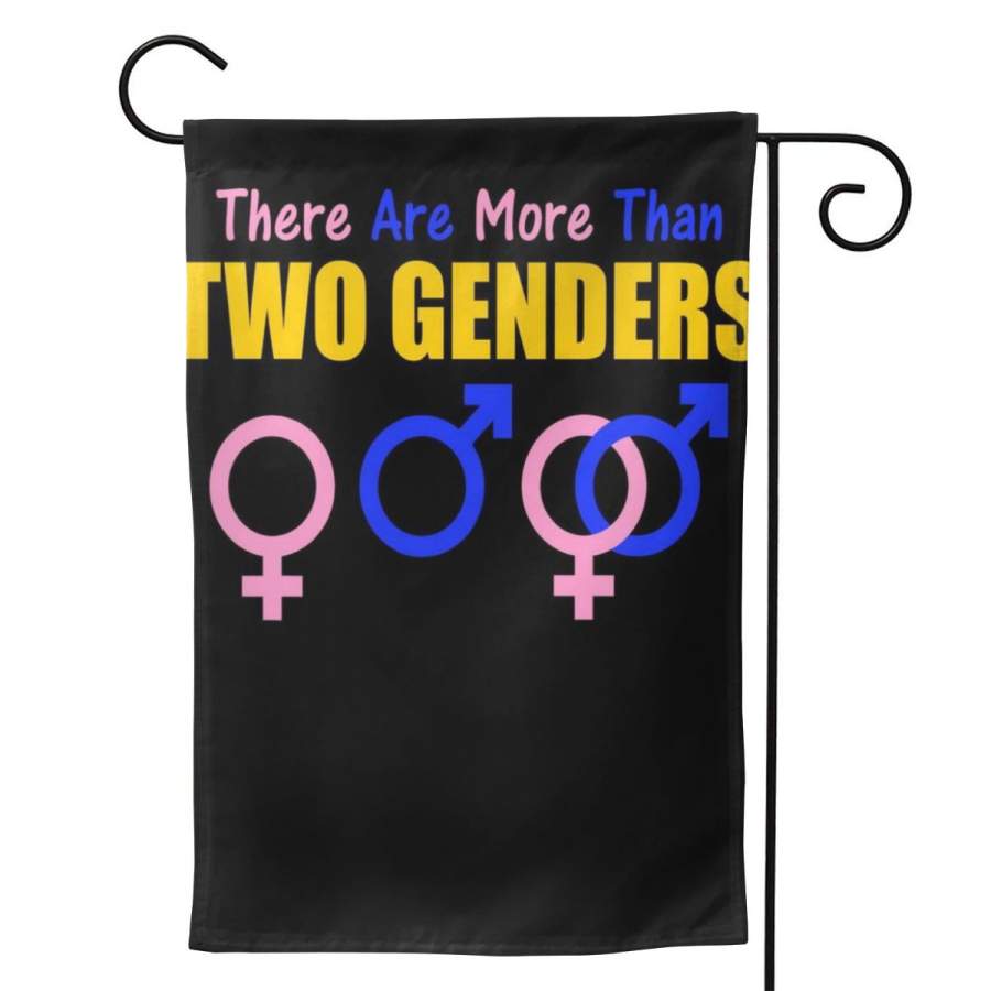 2 Pcs Garden Flag There Are More Than Two Genders Gender Signs Horizontal Poster 12.5″x18″ -Mothers Day, Birthday Gifts for Mom, Dad, Wife, Husband, Daughters, Grandma, Friends