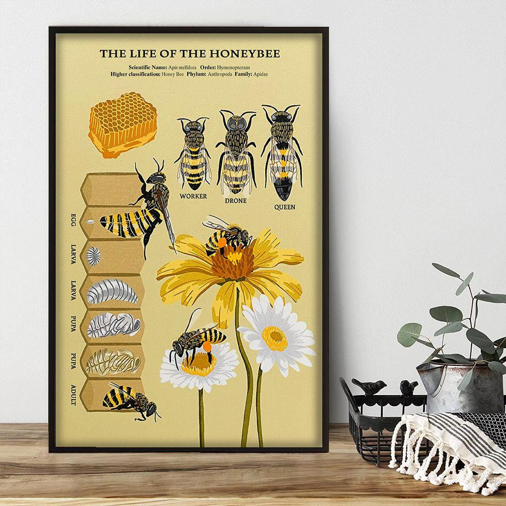 The Life Of The Honeybee Poster Canvas Home Décor Birthday Christmas Gifts For Men Women – Gigo Smart