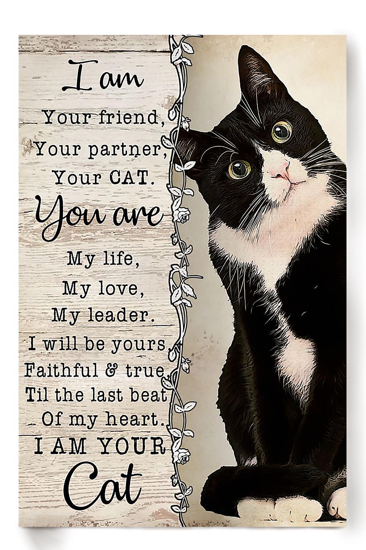 Cat Lover Im Your Cat Animal Wall Art Gift For International Cat Day Kitten Foster Poster